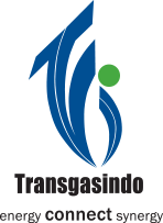 logo-tgi